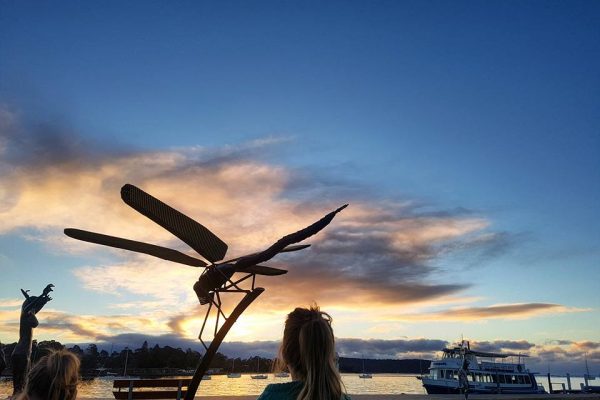 Amanda Freer Photography - Sculpture D