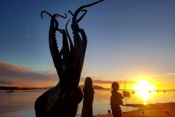 Amanda Freer Photography - Sculpture Oc